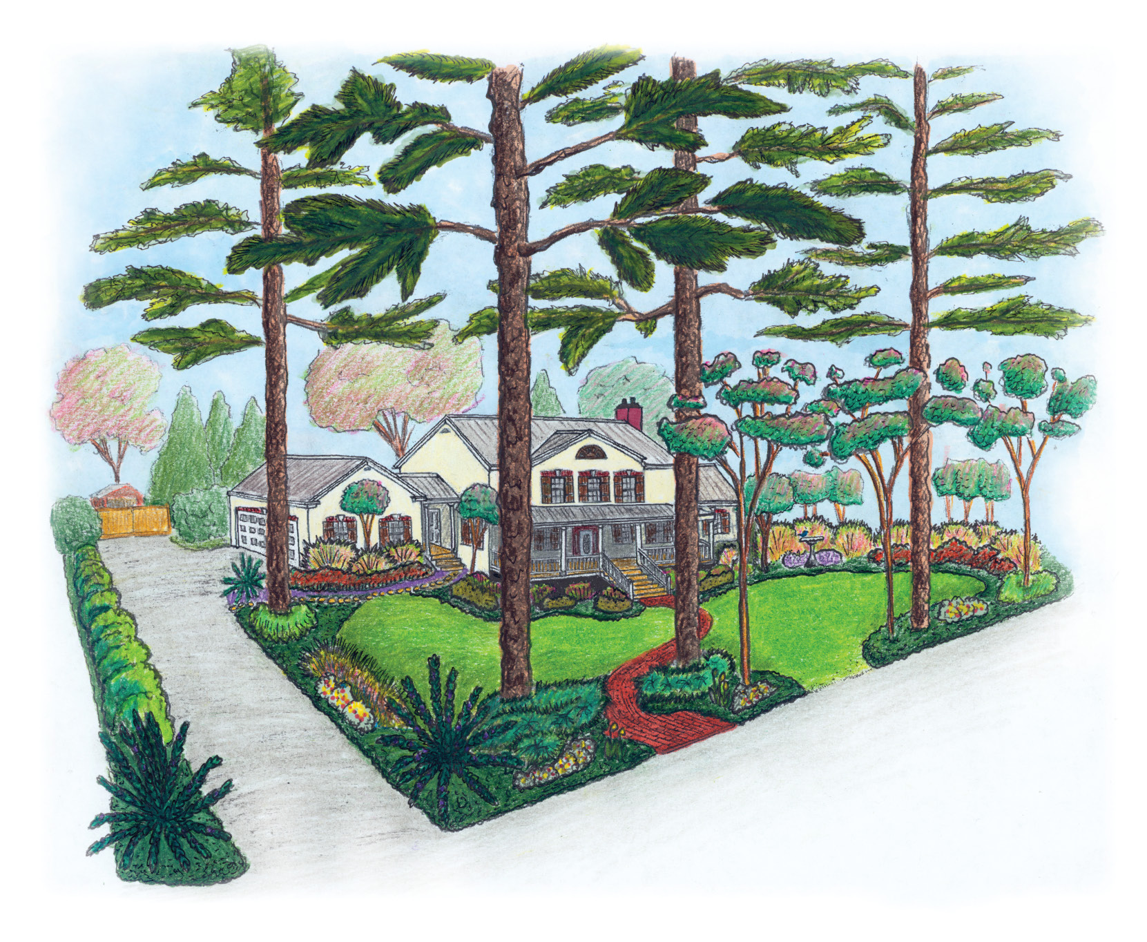 Drawing of a home and surrounding landscape, with trees, shrubs, and other accent plantings.