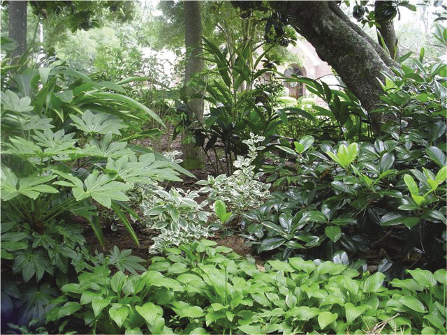 Image description in caption.