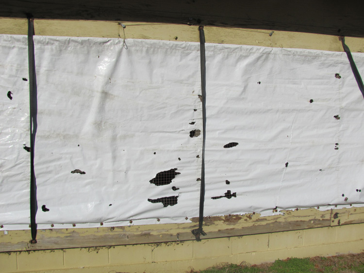 Small holes in white cover on a poultry farm house which is minor rodent damage.