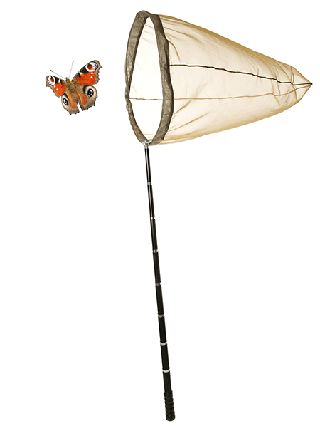 This is an illustration of a butterfly in the process of being caught in a net.