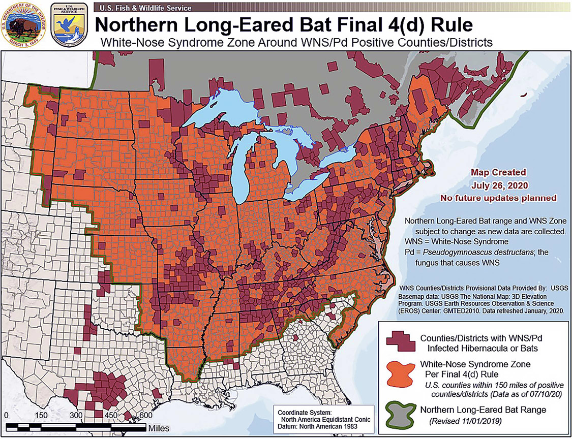 States/US Territories in which this population is known to or is believed to occur: Alabama, Arkansas, Connecticut, Delaware, District of Columbia, Georgia, Illinois, Indiana, Iowa, Kansas, Kentucky, Louisiana, Maine, Maryland, Massachusetts, Michigan, Minnesota, Mississippi, Missouri, Montana, Nebraska, New Hampshire, New Jersey, New York, North Carolina, North Dakota, Ohio, Oklahoma, Pennsylvania, Rhode Island, South Carolina, South Dakota, Tennessee, Vermont, Virginia, West Virginia, Wisconsin, Wyoming. See https://ecos.fws.gov/ecp/species/9045 for county-level information. 