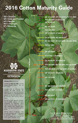 an image of the 2016 cotton maturity guide.