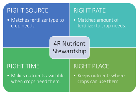 The 4R Nutrient Stewardship principles. 
