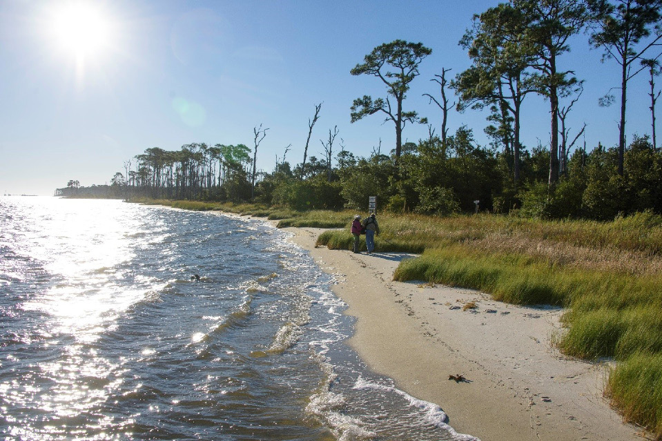 An image of volunteers cleaning the Mississippi Coast. Photo by Kevin Hudson, Agricultural Communications.