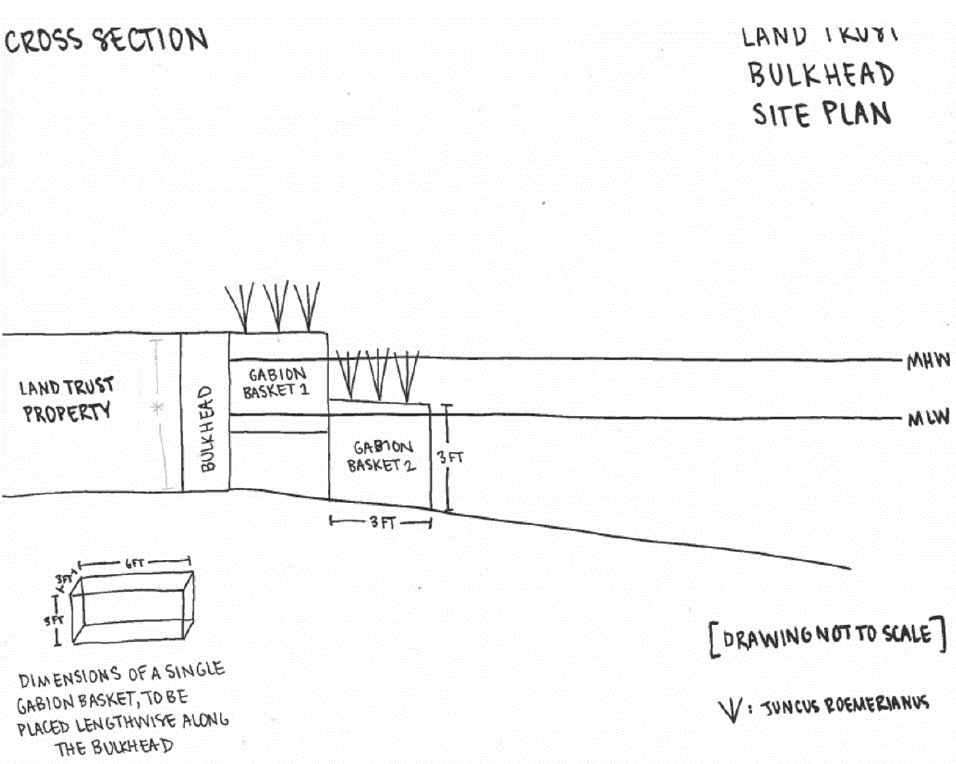 Sample cross-section drawing labeled Land Trust Bulkhead Site Plan. Labeled areas include Land Trust Property, bulkhead, gabion baskets, and mean high and low water marks. A smaller drawing shows the dimensions of a single gabion basket, to be placed lengthwise along the bulkhead. Plant symbols indicate where Juncus roemerianus will be planted next to the gabion baskets. 
