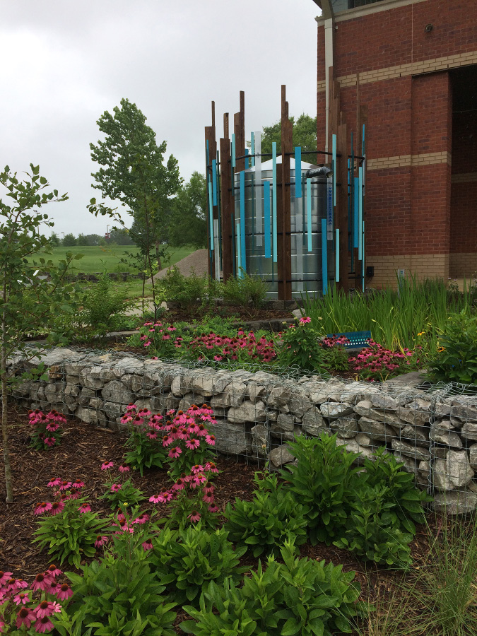 A rain garden designed to channel and filter excess rainwater.