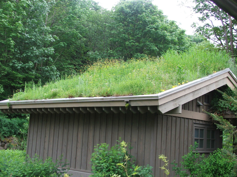 A brown building with a green roof