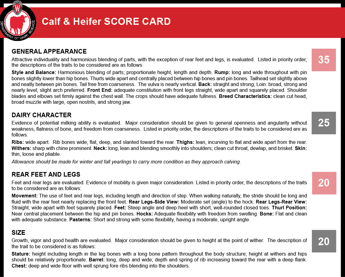 Calf and Heifer Score Card.