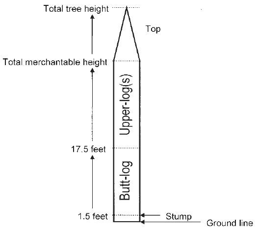 A diagram of a tree from the ground to the tip. The ground line to the top of the stump is 1.5 feet. The buttlog starts above the stump and is 17. 5 feet. The portion above the butt-log is the upper-log and is the last of the merchantable portion of the tree. The top of the tree is not merchantable but provides the total height of the tree.