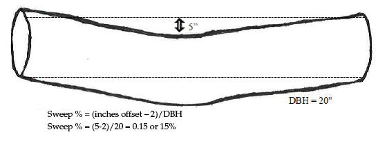 A butt-log showing sweep, where the log is curved from top to base. The log is offset by 5 inches in the middle. To determine sweep percentage, subtract 2 (the constant needed for a tree 14-16 feet long) from the inches offset (5 inches), then divide by diameter at breast height (20 inches). The sweep percentage of this log is 15 percent.