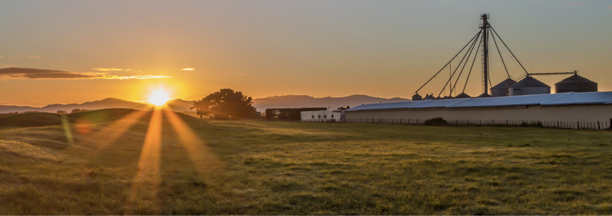 Sunrise over chicken farm.