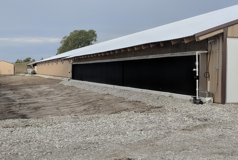 A poultry house is long and narrow with a metal roof. The foreground is gravel, and a blue sky and trees are visible in the background. More description is in the photo caption.