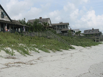 A row of beach houses with green vegetation growing down toward the white sand. 