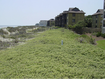 Foreground shows thick, green vegetation. Beachfront properties, sand dunes, and the ocean are visible in the background.