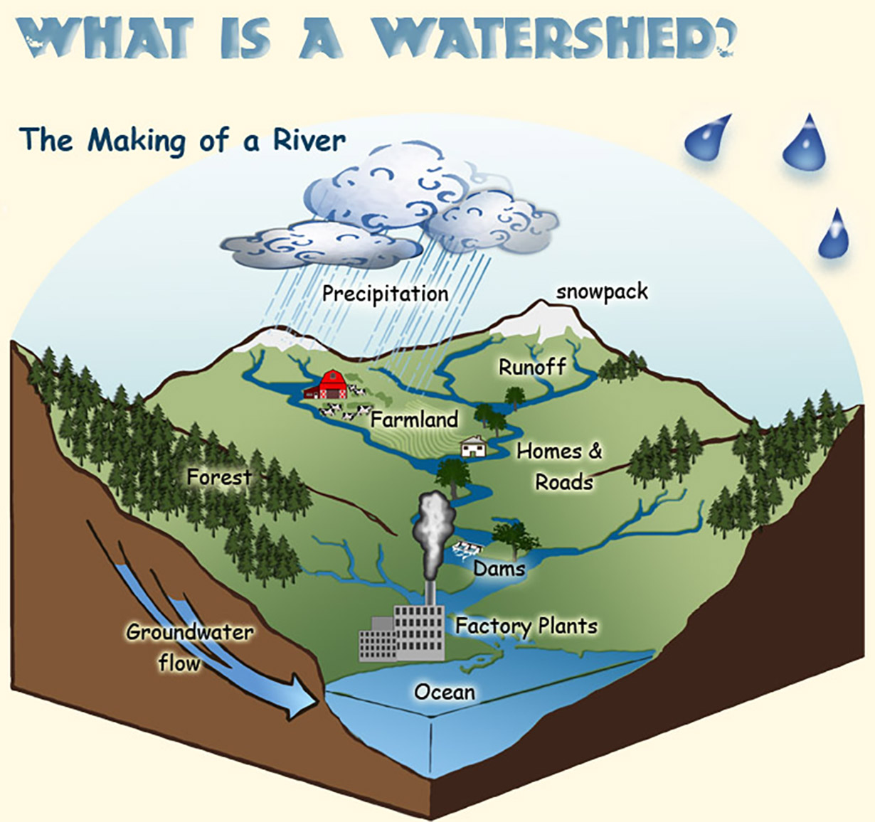 Diagram showing the watershed process.