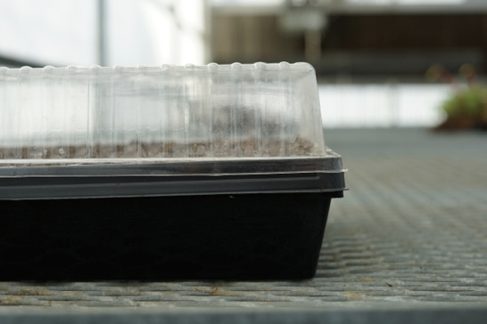 A black tray with a clear plastic top.