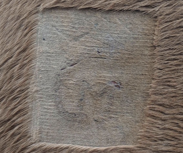 A shaved square with a very faint brand design in its center. Not all of the details are visible.