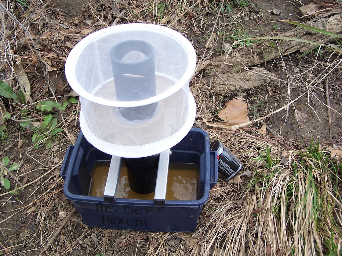 A trap with a small bucket of dirty water underneath the net.
