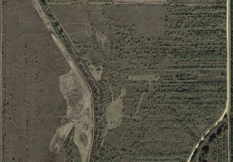 Aerial view of a hardwood plantation. Explanation in caption.