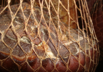 An infested ham hangs from a net in a drying area.