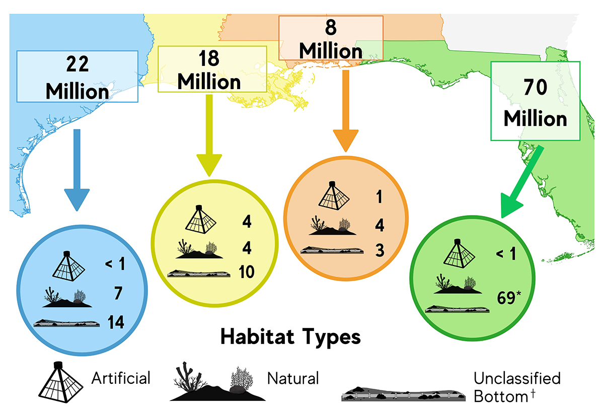 A map of the U.S. Gulf of Mexico from Texas to Florida showing the redsnapper estimate for each region. In the Texas region, the populationwas estimated at 23 million. In the Louisiana region, the population wasestimated at 29 million. In the Mississippi/Alabama region, thepopulation was estimated at 10 million. In the Florida region, thepopulation was estimated at 48 million. The map also shows a breakdownof red snapper estimates by habitat type for each region. In Texas, 1million red snapper were estimated over artificial habitat, 6 millionwere estimated over natural habitat, and 16 million were estimated overunclassified bottom. In Louisiana, 7 million red snapper were estimatedover artificial habitat, 5 million were estimated over natural habitat,and 17 million were estimated over unclassified bottom. InMississippi/Alabama, 2 million red snapper were estimated overartificial habitat, 4 million were estimated over natural habitat, and 4million were estimated over unclassified bottom. In Florida, less than 1million red snapper were estimated over artificial habitat, 17 millionwere estimated over natural habitat, and 31 million were estimated overunclassified bottom.1