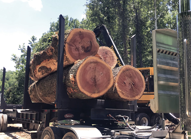 A large truck loaded with cut leaves.