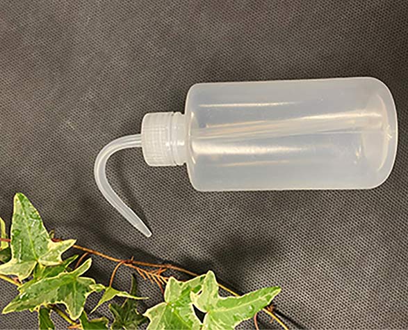 Plastic squeeze bottle with angled neck which is suitable for filling small flower containers with water.
