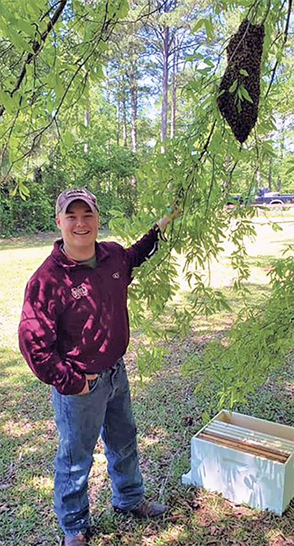 A man stands beside a honey bee swarm hanging from a tree limb.