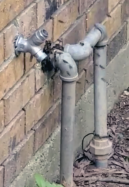 Bees swarm around metal pipes entering into the side of a house.