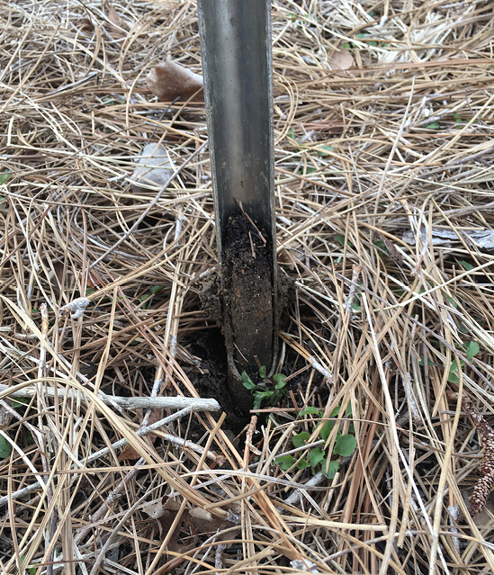 A soil probe.