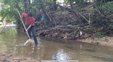 A person dips a net with a long handle into a creek.