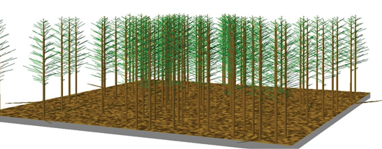 Computer rendering of a more sparse stand of pine trees.