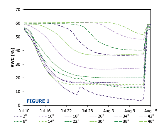 Volumetric water content at 2, 6, 10, 14, 18, 22, 26, 30, 34, 38, 42, and 46 inches, as reported by Drill & Drop probes in a Sharkey soil that started wet on July 10 and then dried gradually over five weeks with minimal rain and no irrigation.