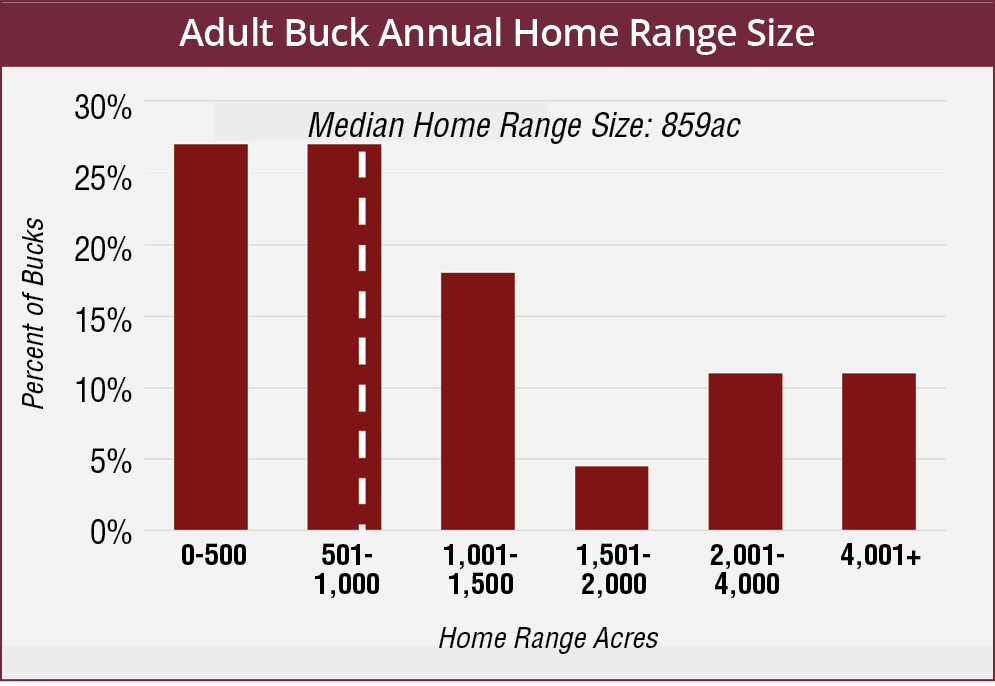 Adult buck annual home range size varies by individual buck. 27% of the bucks have an annual home range size between 0 and 500 acres, 27% have an annual home range size between 501 and 1,000 acres, 18% have an annual home range size between 1,001 and 1,500 acres, 4% have an annual home range size between 1,501 and 2,000 acres, 11% have an annual home range size between 2,001 and 4,000 acres, and 11% have an annual home range size of 4,001 acres or greater. 