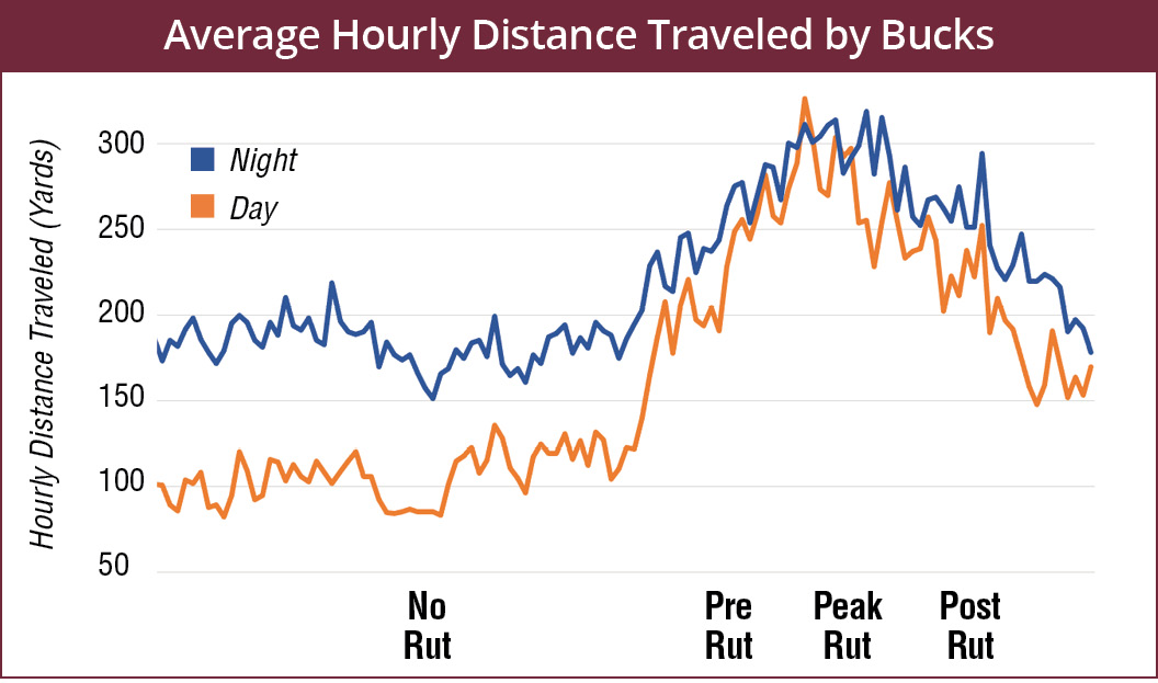 The average hourly distance (in yards) traveled by bucks: no rut, about 100 yards in the day and 175 yards in the night; pre-rut, about 200 yards in the day and 250 at night; peak rut, about 300 yards in the day and night; and post-rut, about 200 yards in the day and 250 yards at night.