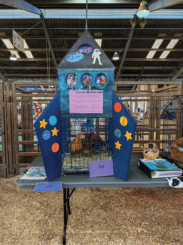 The coop entry is designed like a rocketship. It is blue with many space and chicken pictures attached.