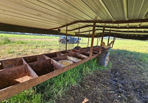 A long, metal feeder divided into multiple sections under a metal roof. 