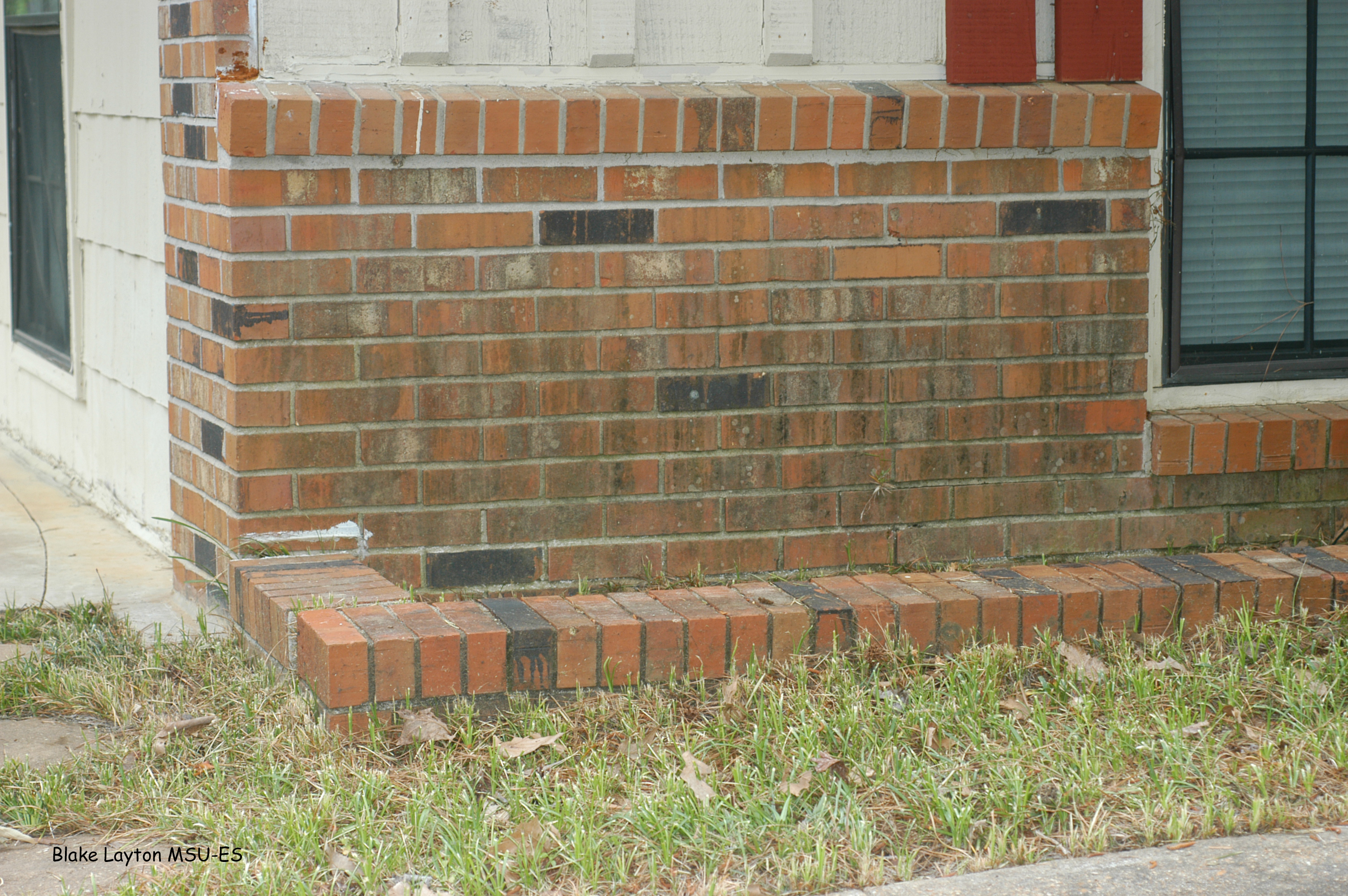 Built-in planters adjacent to building foundations increase the potential for termite infestation, especially if soil is tilled for planting and/or additional soil is added. 