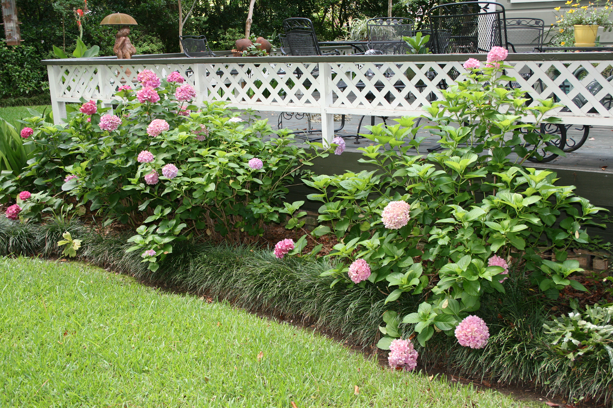 Example of a raised landscape bed that uses liriope as the border.