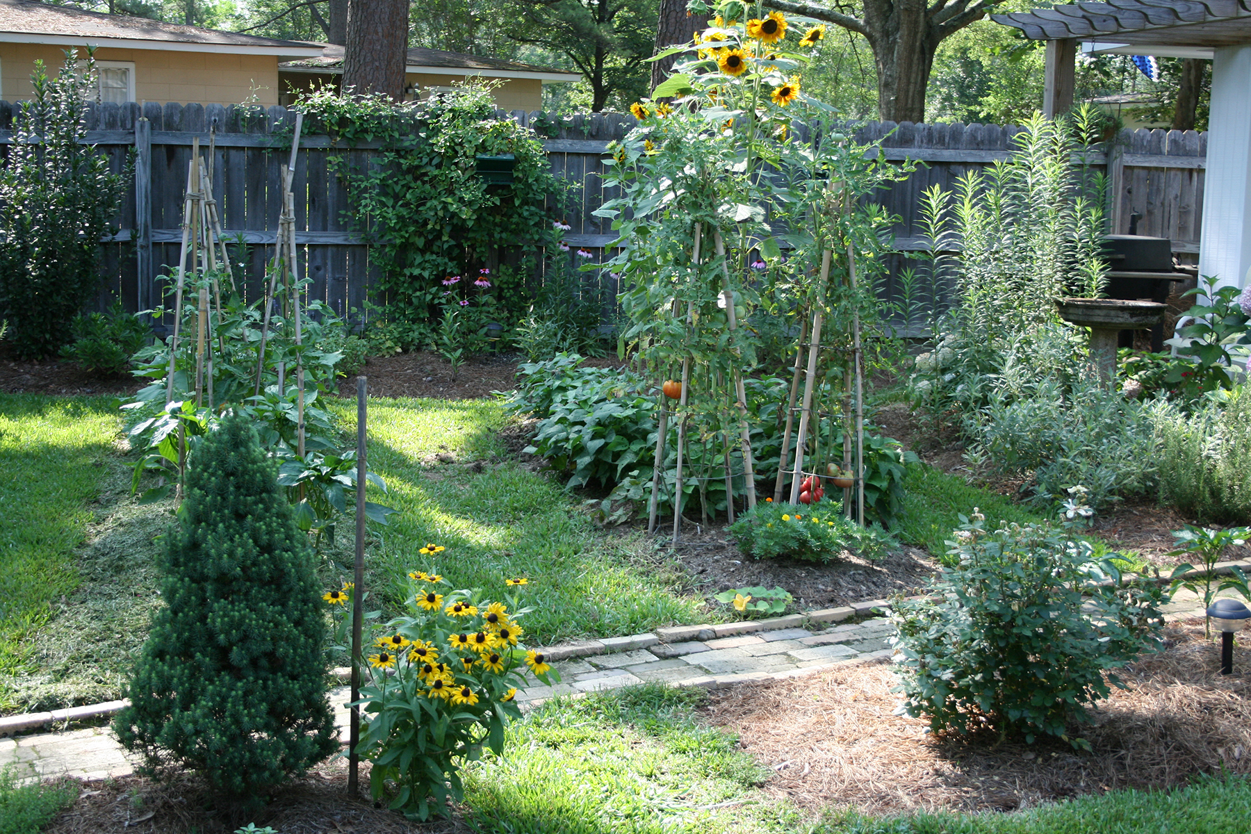 A raised bed vegetable garden with each bed simply mounded towards the middle.