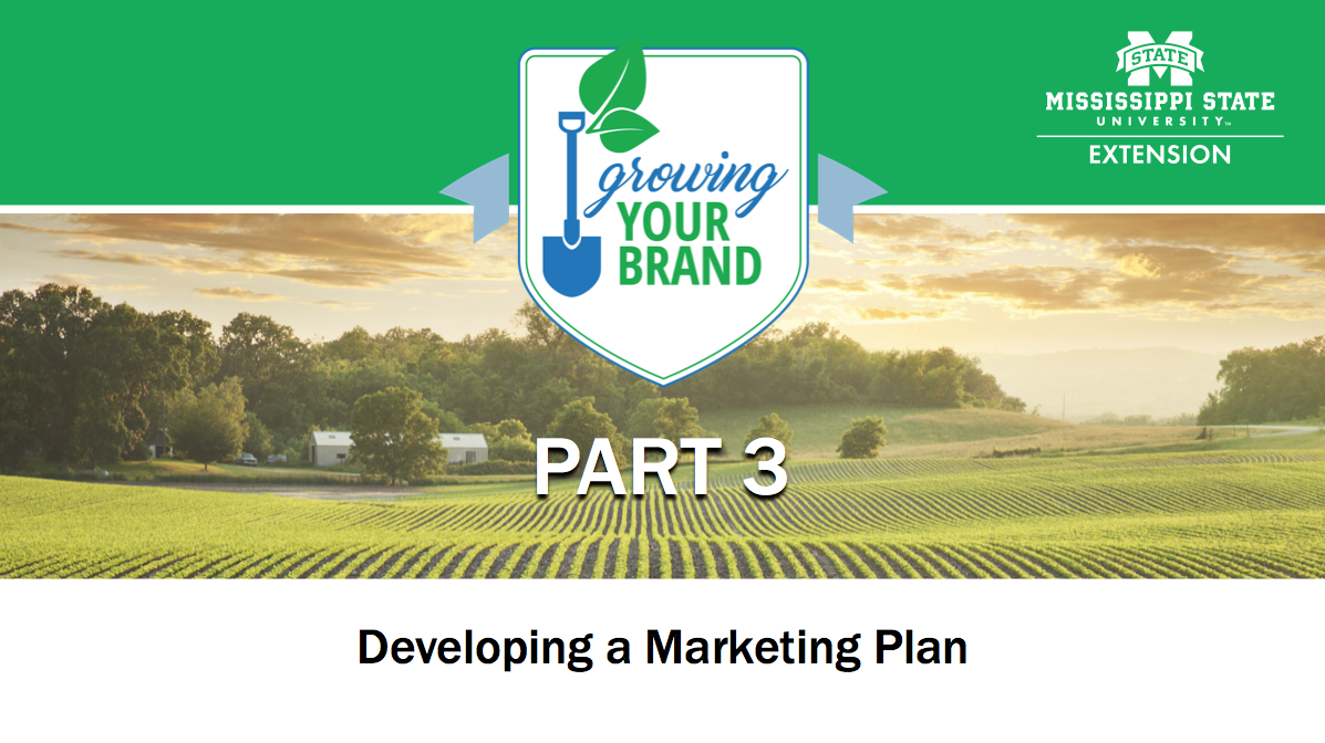 Growing Your Brand Part 3 image