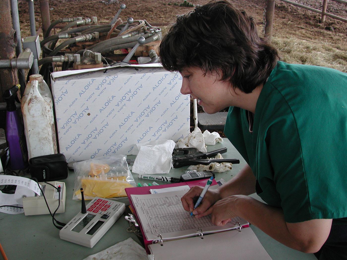 Mississippi State University animal scientist Rhonda Vann often sets up her laboratory in the corral at the Brown Loam Branch Experiment Station near Raymond. Part of her work is finding ways to help producers select the best quality animals for their herds.