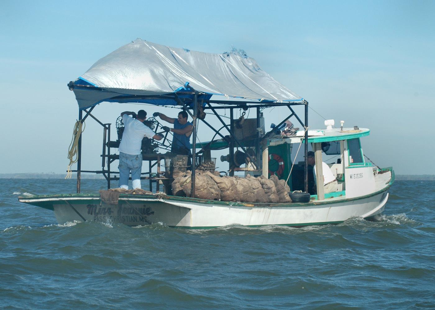 The Miss Jeannie out of Pass Christian was one of the boats harvesting oysters on the St. Joe Reef near Bayou Caddy in early October. (Photo by Bob Ratliff)