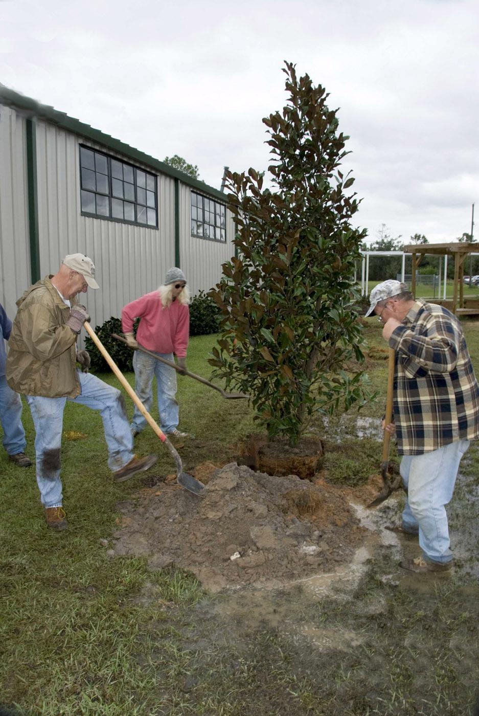Lincoln County Master Gardener Homer Richardson, Karen Peresich and Steve Edge of Gautier plant trees at Pineville Elementary on Menge Road in Pass Christian as part of the Mississippi Master Gardeners Operation Rejuvenation on the Gulf Coast.  (Photo By Marco Nicovich)