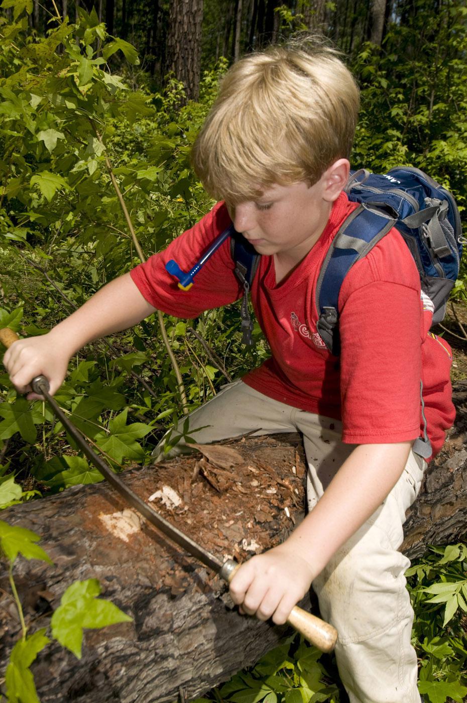 Peter Drackett, 11, of Long Beach scrapes the bark of a dead tree at the Noxubee Wildlife Refuge to find pine bark beetles. (Photo by Kat Lawrence)