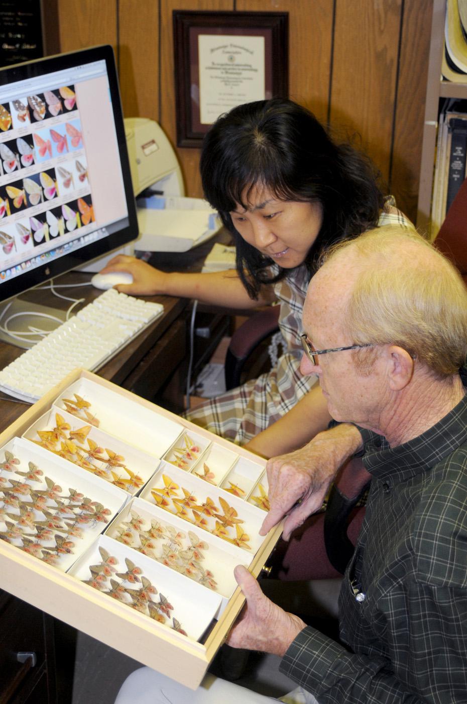 Experts at the Mississippi Entomological Museum manage the moth photographers' group website, the largest collection of moth images in the world. Here, museum director Richard Brown and Mississippi State University entomology researcher SangMi Lee compare moth samples to the images posted on the website. (Photo by Kat Lawrence)