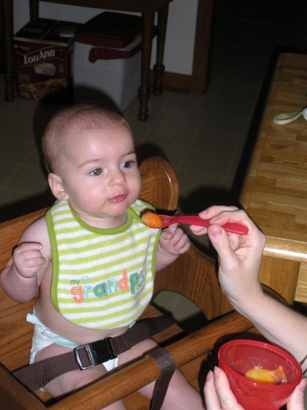 Ainsley Grey Trimm, of Starkville, enjoys pureed yellow squash and carrots that her mother prepared for her. Ainsley Grey's parents and many others find baby food easy and inexpensive to make. (Courtesy photo provided by Sara Stone)
