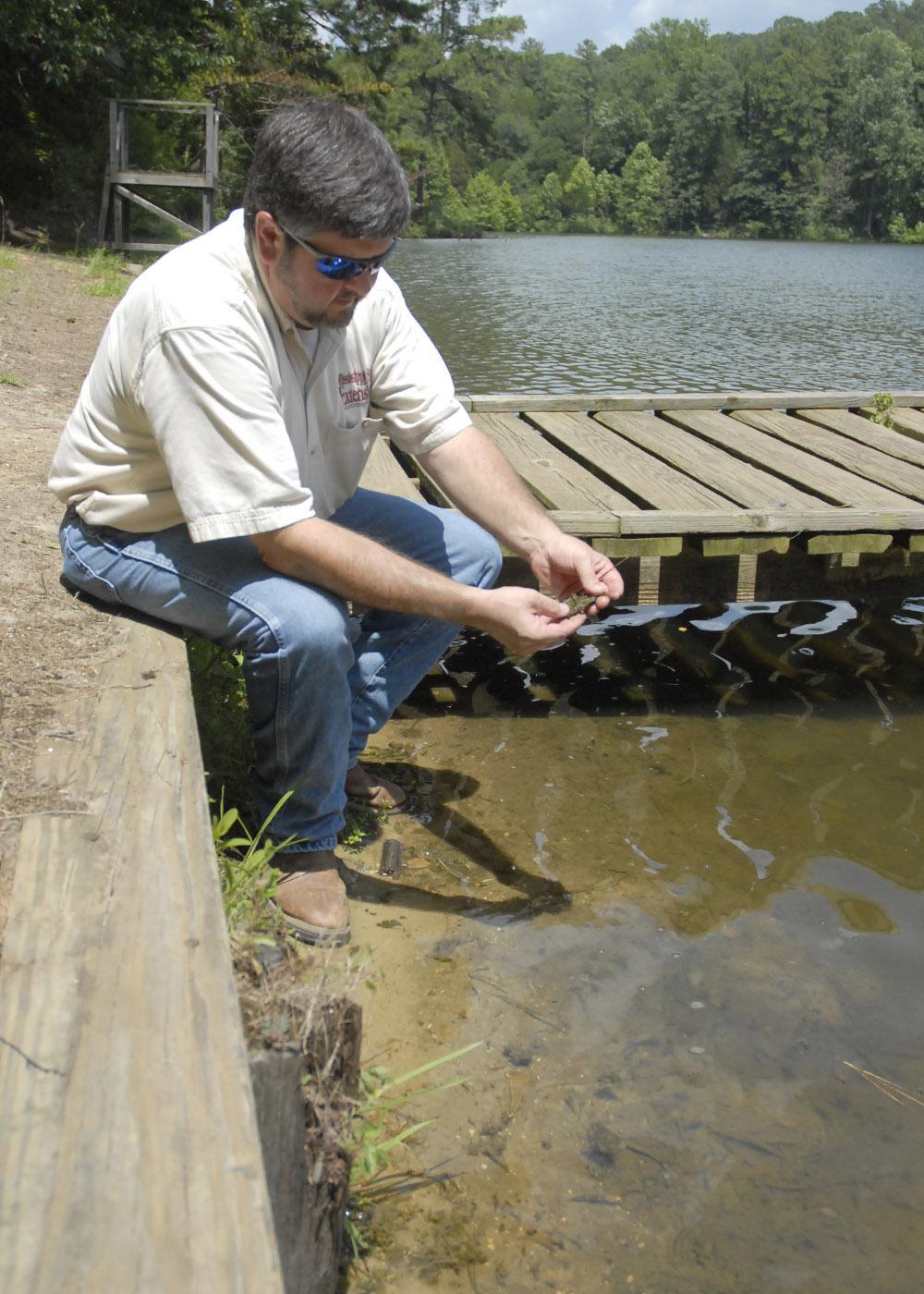 Chickasaw County Extension director Scott Cagle examines the last of some pond weeds in the lake at Camp Tik-A-Witha, operated by the Girl Scouts Heart of the South organization. Cagle helped the camp locate donors to pay for stocking grass carp to restore the lake to swimming quality. (Photo by Linda Breazeale)
