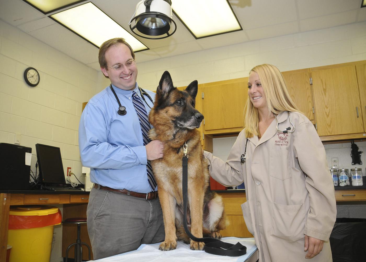 Lex, a retired Marine Corps bomb-sniffing dog, was evaluated at Mississippi State University's College of Veterinary Medicine when his owners noticed he had some difficulty standing. Dr. John Thomason, a CVM small animal internal medicine resident, (left) and Jennifer Evans, a veterinary student, conducted his exam. (Photo by Scott Corey)