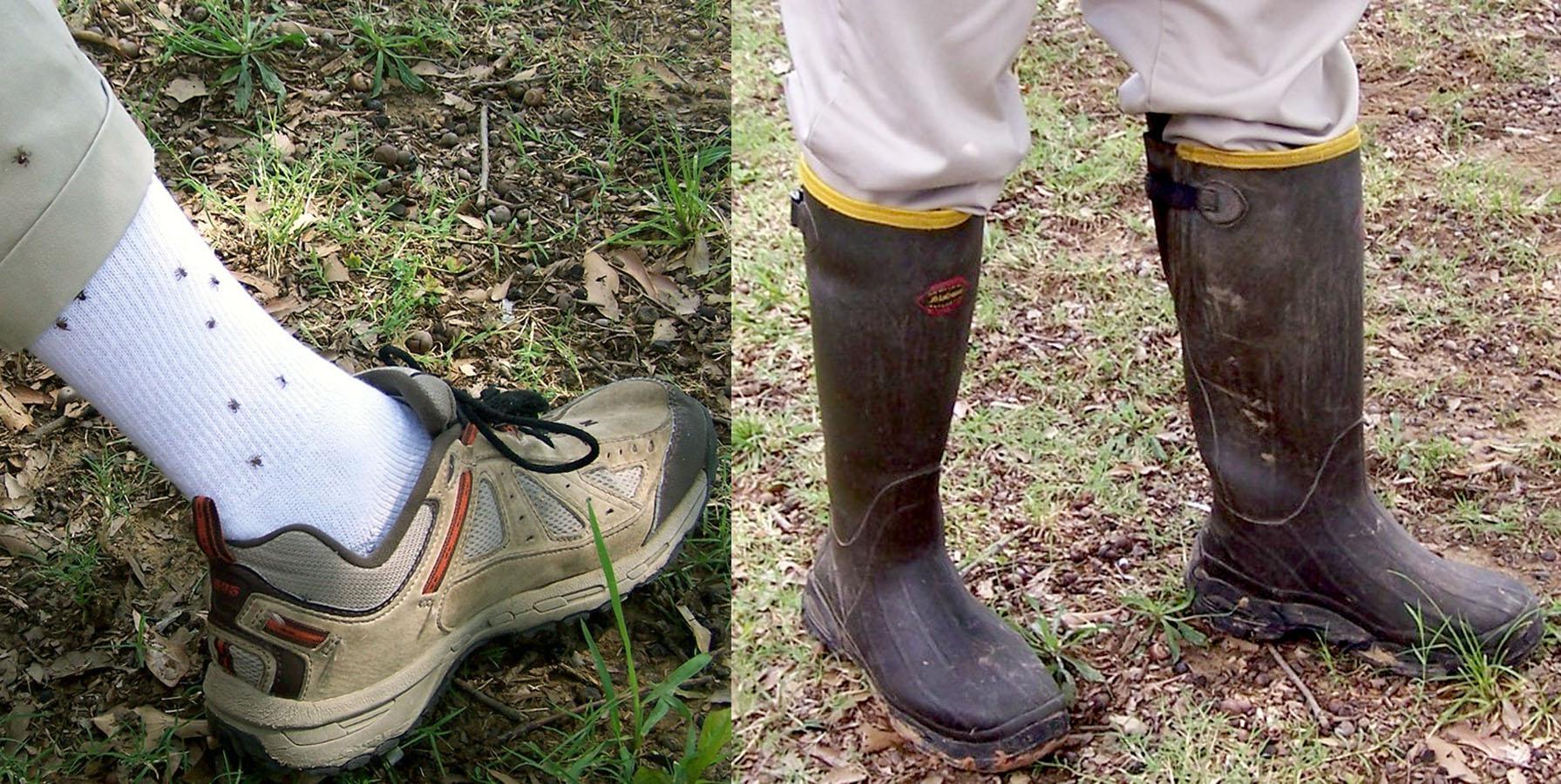 To minimize tick exposure, wear rubber boots and tuck pant legs into the boots so ticks cannot crawl onto clothing, advise Mississippi State University experts. (Photos by Jerome Goddard)